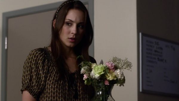 Pretty_Little_Liars_S03E05_BluRay_Rip_720p_Dual_Audio_WWW_TORRENTDOSFILMES_COM_2463.jpg