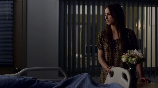 Pretty_Little_Liars_S03E05_BluRay_Rip_720p_Dual_Audio_WWW_TORRENTDOSFILMES_COM_2470.jpg