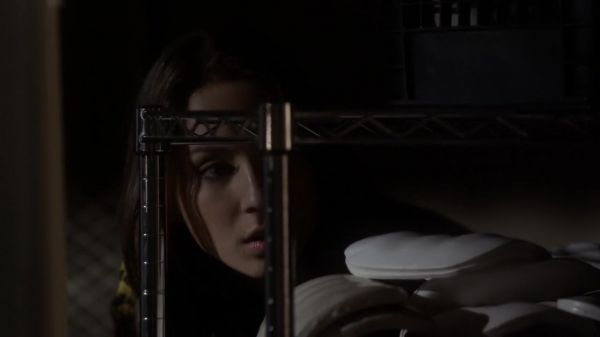 Pretty_Little_Liars_S03E10_BluRay_Rip_720p_Dual_Audio_WWW_TORRENTDOSFILMES_COM_1129.jpg