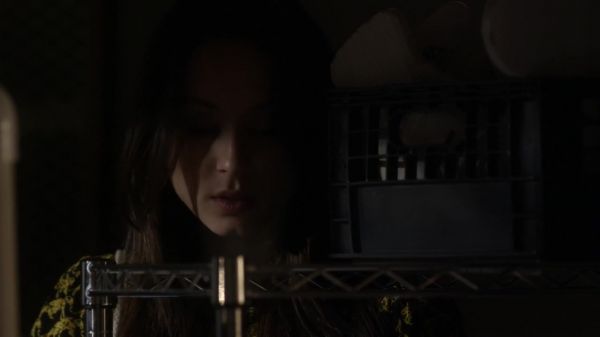 Pretty_Little_Liars_S03E10_BluRay_Rip_720p_Dual_Audio_WWW_TORRENTDOSFILMES_COM_1211.jpg