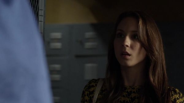 Pretty_Little_Liars_S03E10_BluRay_Rip_720p_Dual_Audio_WWW_TORRENTDOSFILMES_COM_1227.jpg