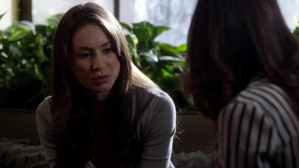 Pretty_Little_Liars_S03E14_BluRay_Rip_720p_Dual_Audio_WWW_TORRENTDOSFILMES_COM_0351.jpg