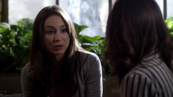 Pretty_Little_Liars_S03E14_BluRay_Rip_720p_Dual_Audio_WWW_TORRENTDOSFILMES_COM_0359.jpg
