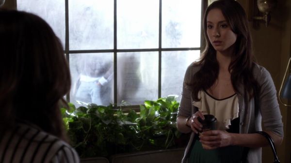 Pretty_Little_Liars_S03E14_BluRay_Rip_720p_Dual_Audio_WWW_TORRENTDOSFILMES_COM_0381.jpg