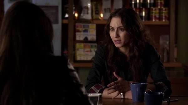 Pretty_Little_Liars_S03E20_BluRay_Rip_720p_Dual_Audio_WWW_TORRENTDOSFILMES_COM_0154.jpg
