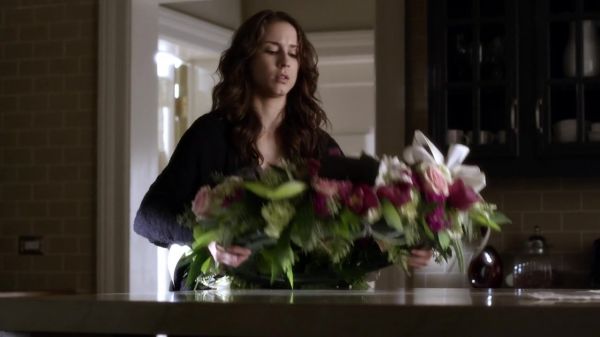 Pretty_Little_Liars_S03E21_BluRay_Rip_720p_Dual_Audio_WWW_TORRENTDOSFILMES_COM_0759.jpg