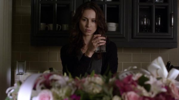 Pretty_Little_Liars_S03E21_BluRay_Rip_720p_Dual_Audio_WWW_TORRENTDOSFILMES_COM_1029.jpg