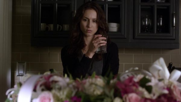 Pretty_Little_Liars_S03E21_BluRay_Rip_720p_Dual_Audio_WWW_TORRENTDOSFILMES_COM_1031.jpg