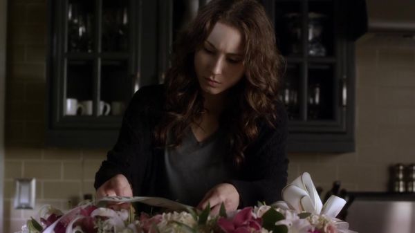 Pretty_Little_Liars_S03E21_BluRay_Rip_720p_Dual_Audio_WWW_TORRENTDOSFILMES_COM_1037.jpg