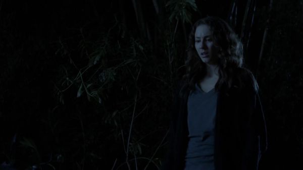 Pretty_Little_Liars_S03E21_BluRay_Rip_720p_Dual_Audio_WWW_TORRENTDOSFILMES_COM_1760.jpg