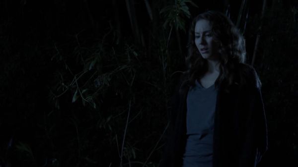 Pretty_Little_Liars_S03E21_BluRay_Rip_720p_Dual_Audio_WWW_TORRENTDOSFILMES_COM_1761.jpg