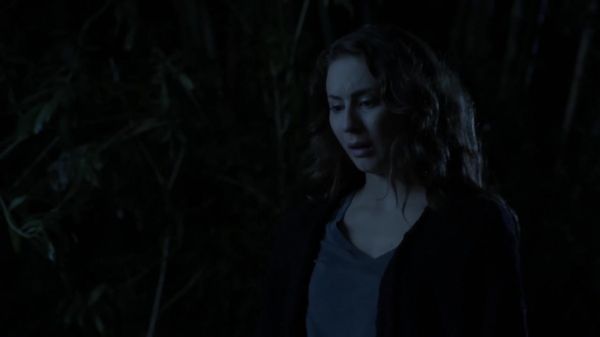 Pretty_Little_Liars_S03E21_BluRay_Rip_720p_Dual_Audio_WWW_TORRENTDOSFILMES_COM_1766.jpg