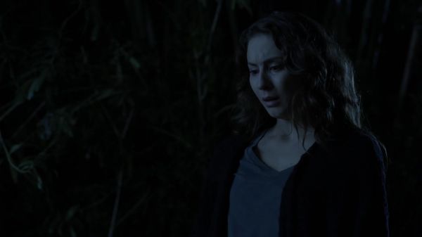 Pretty_Little_Liars_S03E21_BluRay_Rip_720p_Dual_Audio_WWW_TORRENTDOSFILMES_COM_1767.jpg