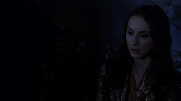 Pretty_Little_Liars_S03E24_BluRay_Rip_720p_Dual_Audio_WWW_TORRENTDOSFILMES_COM_2043.jpg