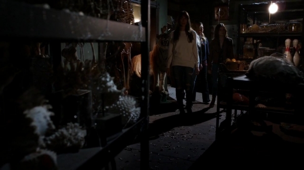 Pretty_Little_Liars_S07E10_WEB-DL_720p_DUAL_WWW_COMANDOTORRENTS_COM_1934.jpg