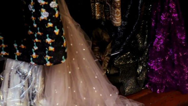 Schon21_presents___Behind_the_scenes_with_Troian_Bellisario_mp4__1_2813429.jpg