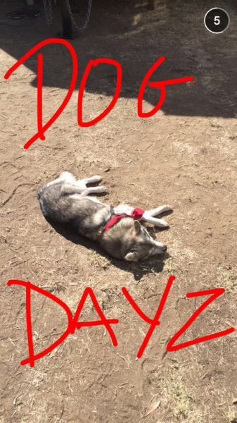 snapchatroian-0036.jpg