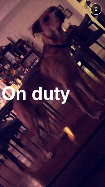 snapchatroian-0090.jpg