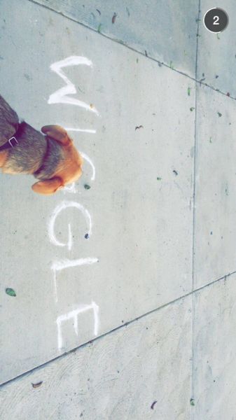 snapchatroian-0116.jpg