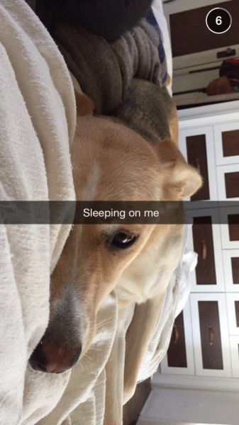 snapchatroian-0117.jpg