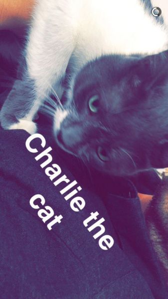 snapchatroian-0127.jpg