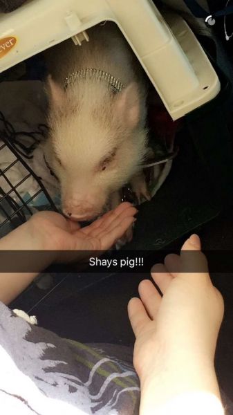snapchatroian-0230.jpg