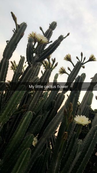 snapchatroian-0269.jpg
