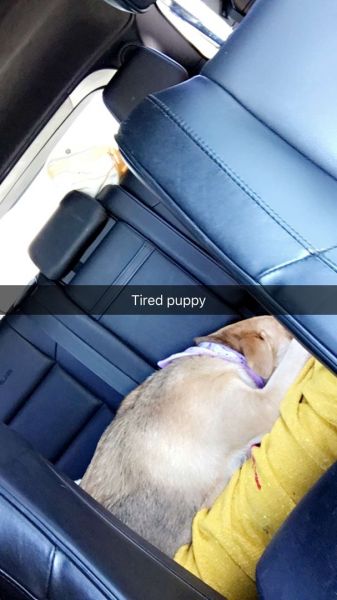 snapchatroian-0273.jpg