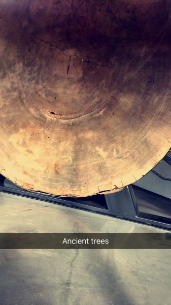 snapchatroian-0359.jpg