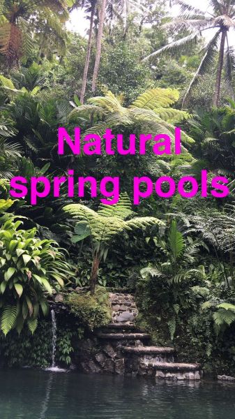 snapchatroian-0387.jpg