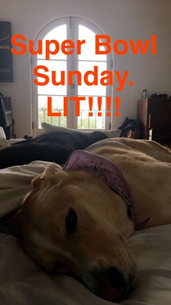 snapchatroian-0392.jpg