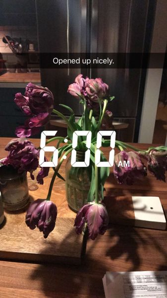 snapchatroian-0439.jpg