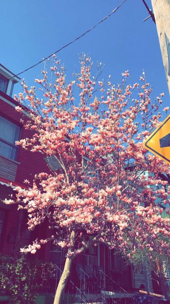 snapchatroian-0494.jpg