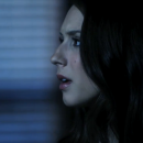 IMG_02338~0.png