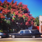 InstagramTroian-001013.jpg