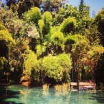 InstagramTroian-001035.jpg