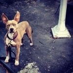 InstagramTroian-001041.jpg