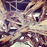 InstagramTroian-001343.jpg