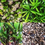 InstagramTroian-001437.jpg