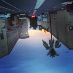 InstagramTroian-001635.jpg