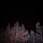 InstagramTroian-001644.jpg