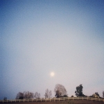 InstagramTroian-001774.jpg