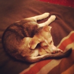 InstagramTroian-001822.jpg