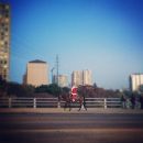 InstagramTroian-001870.jpg