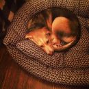 InstagramTroian-001880.jpg