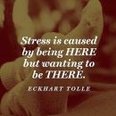 InstagramTroian-001965.jpg