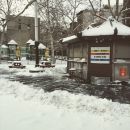 InstagramTroian-001971.jpg