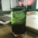 InstagramTroian-002016.jpg