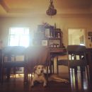 InstagramTroian-002024.jpg