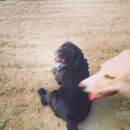 InstagramTroian-002044.jpg